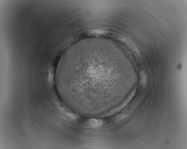 X0000097620328200803211751