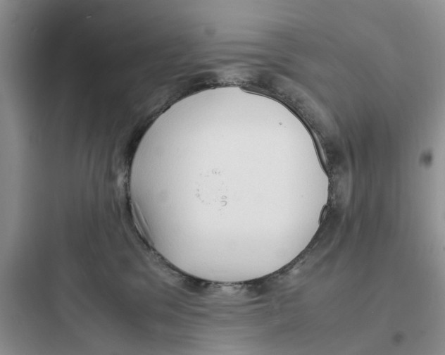 X0000097620329200803211751