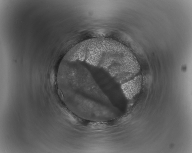 X0000097620331200803211751