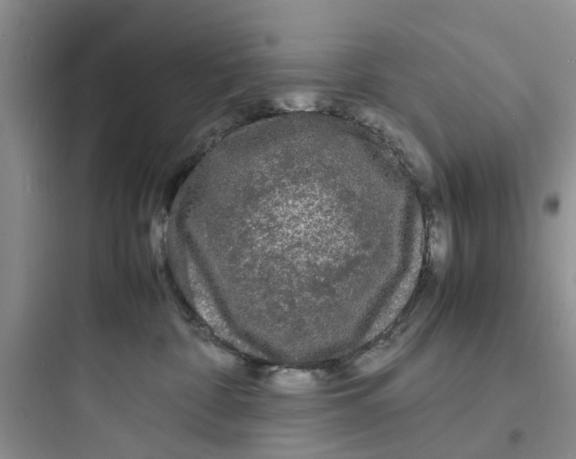 X0000097620332200803211751