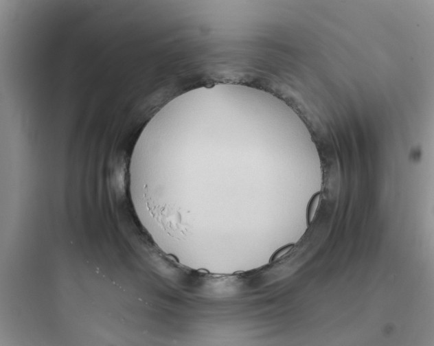 X0000097620334200803211751