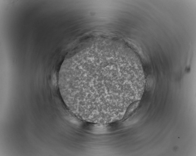 X0000097620335200803211751