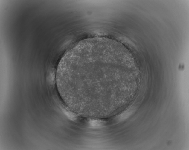 X0000097620336200803211751