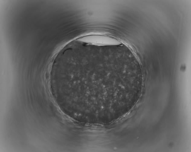 X0000097620337200803211751