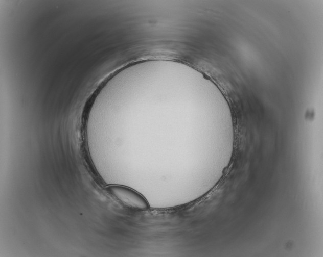 X0000097620338200803211751