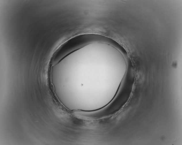 X0000097620340200803211751