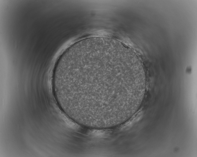 X0000097620341200803211751
