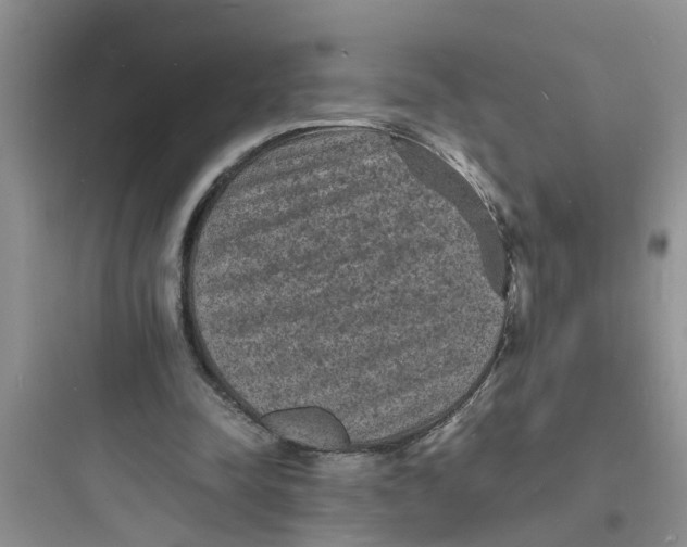 X0000097620342200803211751