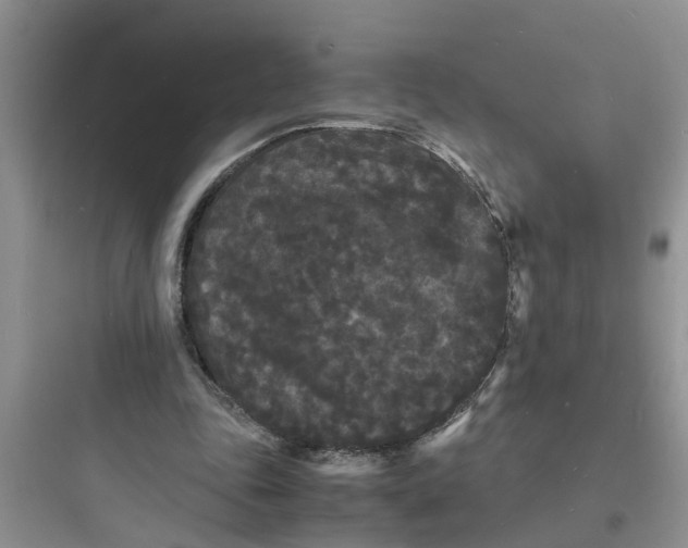 X0000097620343200803211751