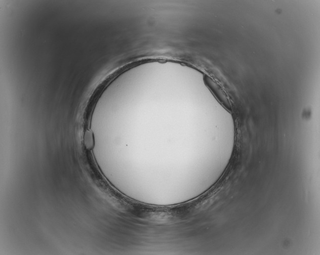X0000097620344200803211751