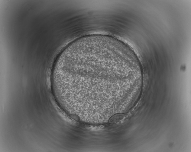 X0000097620345200803211751