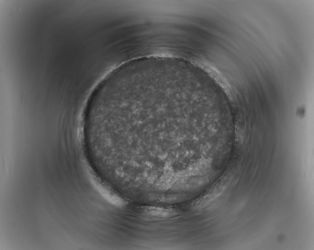 X0000097620347200803211751