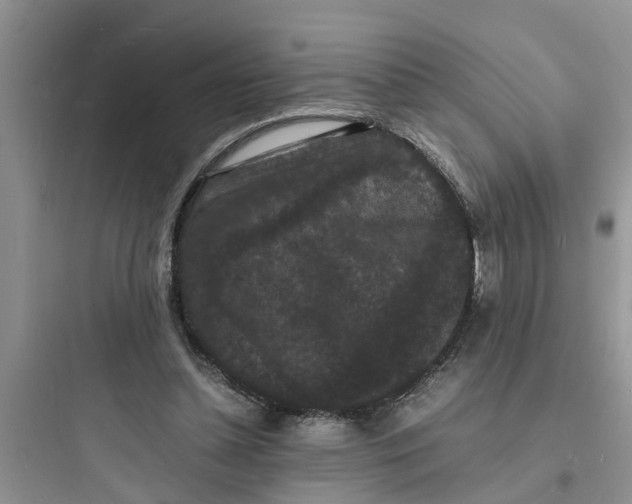 X0000097620348200803211751