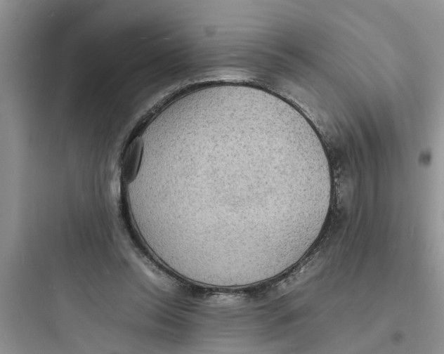 X0000097620350200803211751