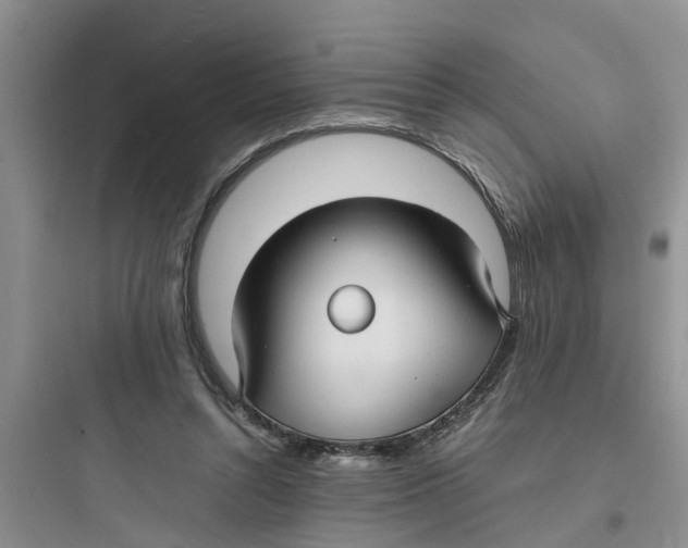 X0000097620352200803211751