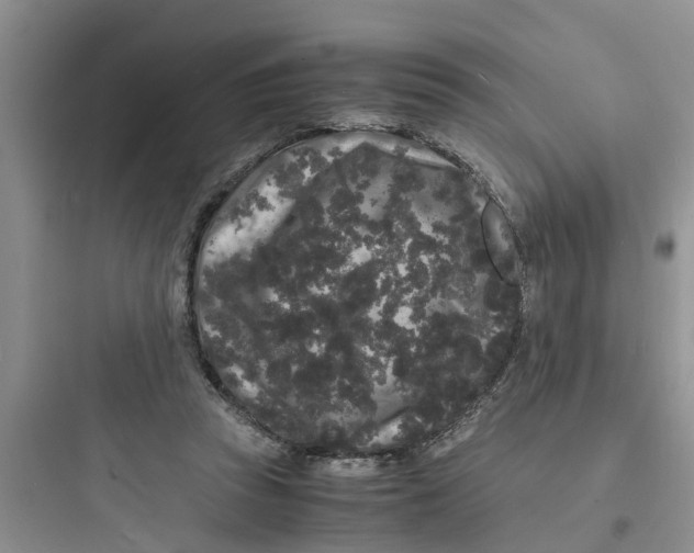 X0000097620353200803211751
