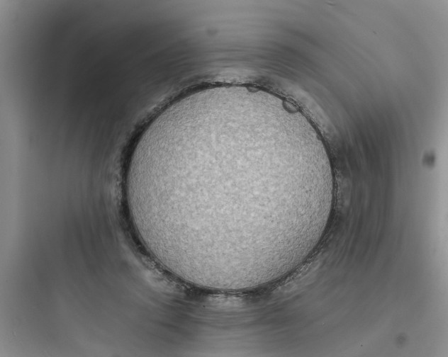 X0000097620354200803211751