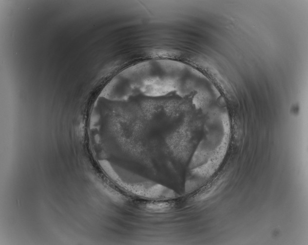 X0000097620357200803211751