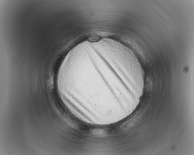 X0000097620358200803211751