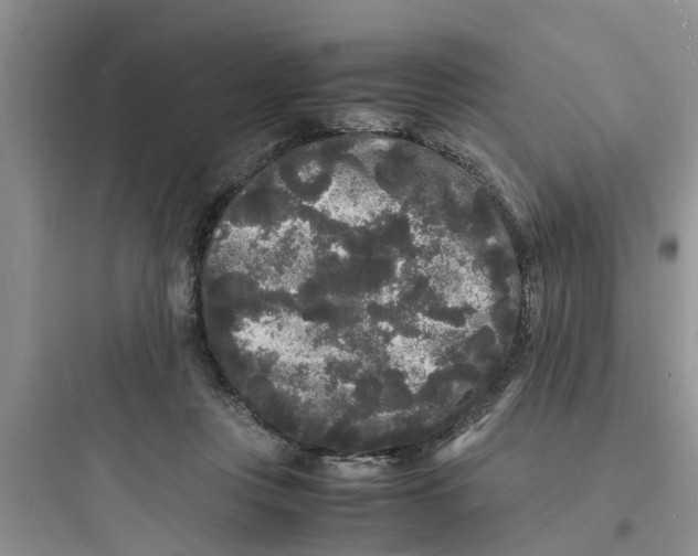 X0000097620359200803211751