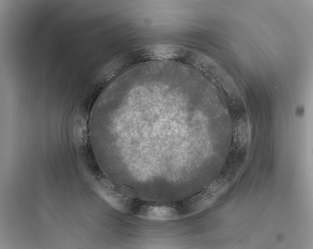 X0000097620360200803211751