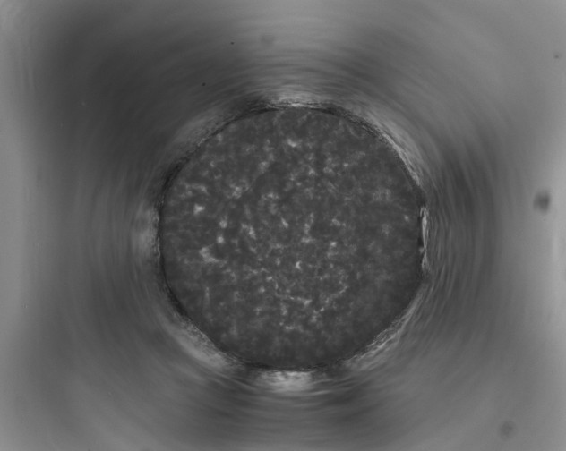 X0000097620361200803211751