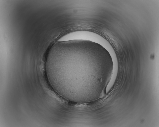 X0000097620362200803211751