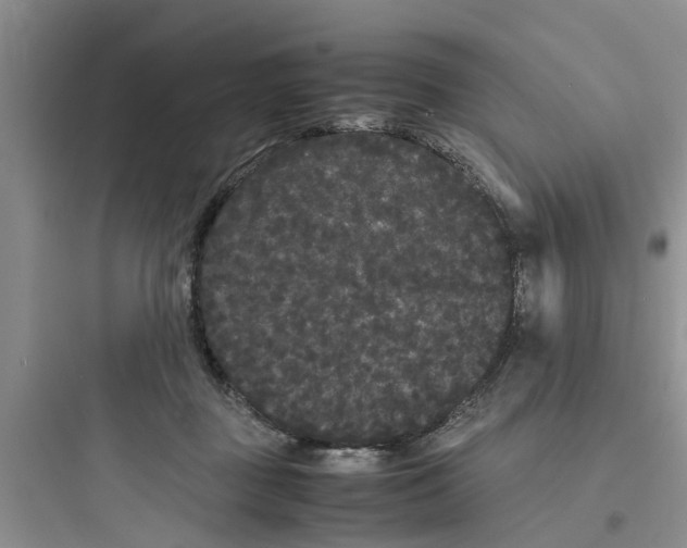 X0000097620363200803211751