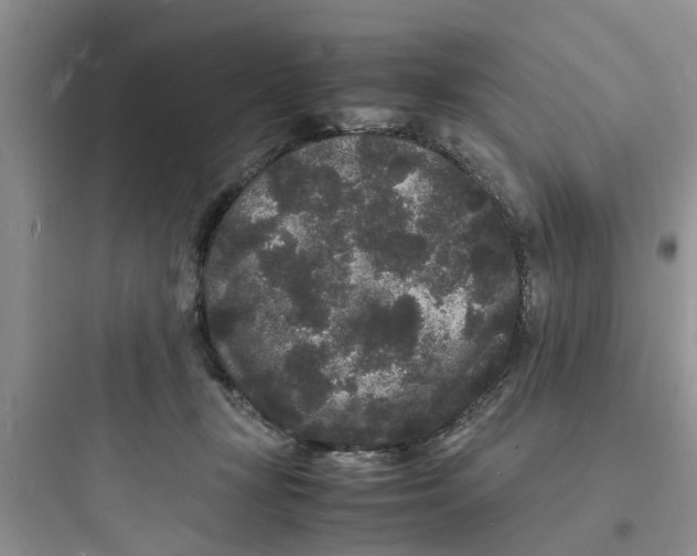 X0000097620367200803211751