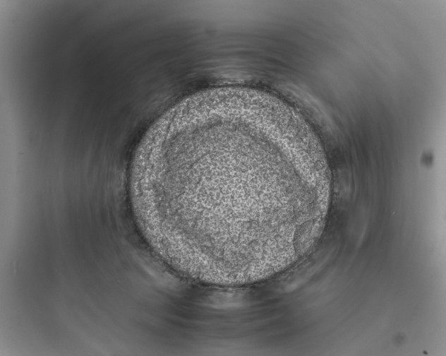 X0000097620369200803211751