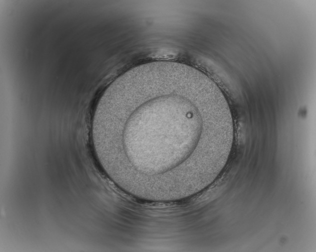 X0000097620370200803211751