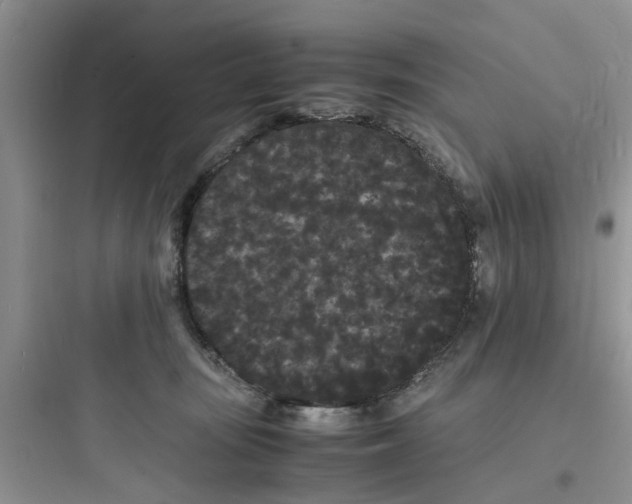 X0000097620371200803211751