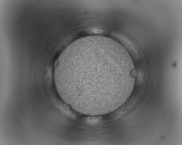 X0000097620373200803211751