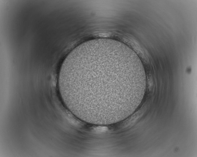 X0000097620374200803211751