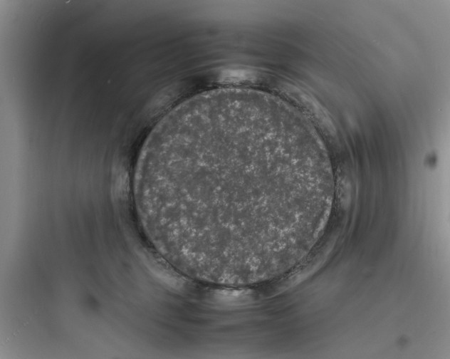 X0000097620375200803211751