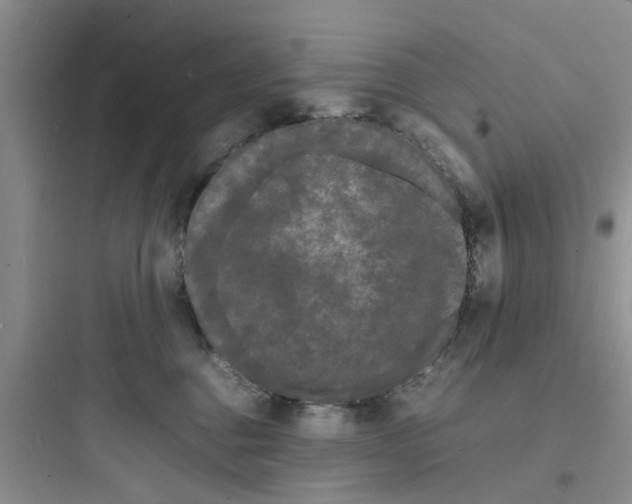 X0000097620376200803211751