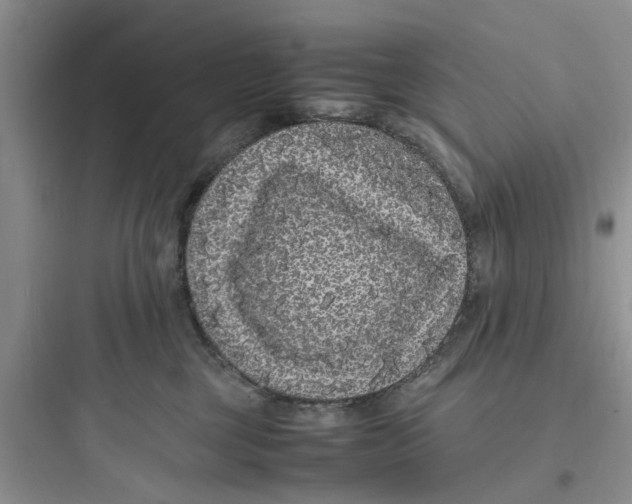 X0000097620377200803211751