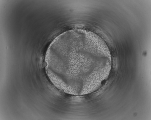 X0000097620378200803211751
