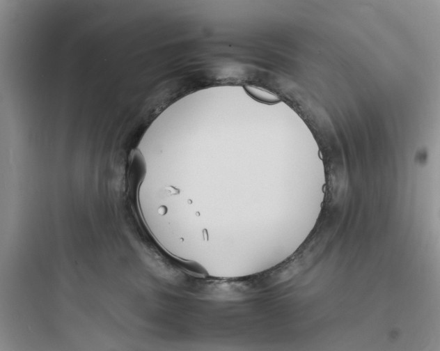 X0000097620379200803211751