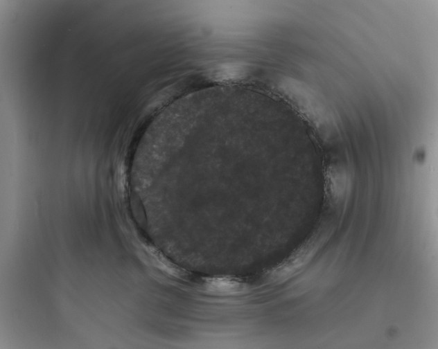 X0000097620380200803211751