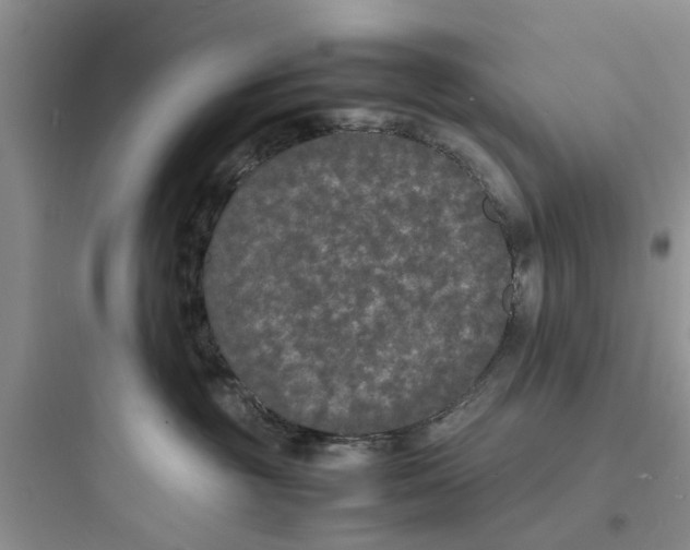 X0000097620381200803211751