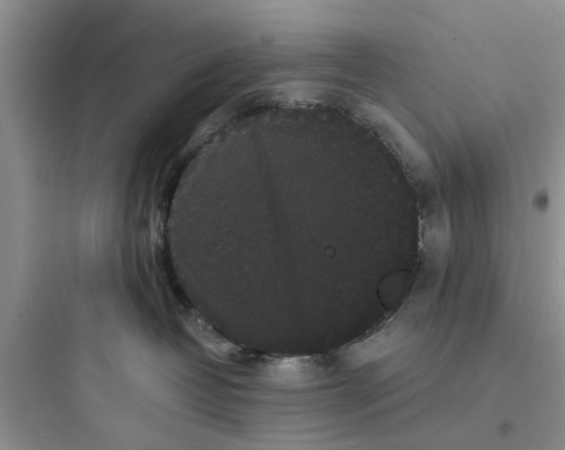 X0000097620382200803211751