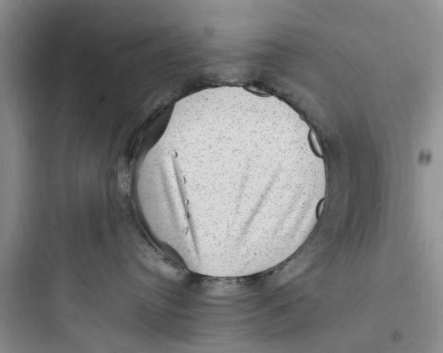 X0000097620384200803211751