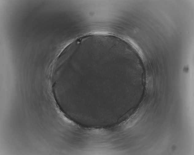 X0000097620385200803211751
