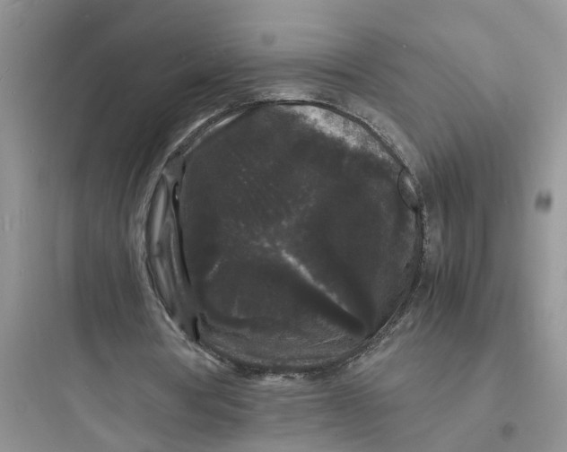 X0000097620386200803211751