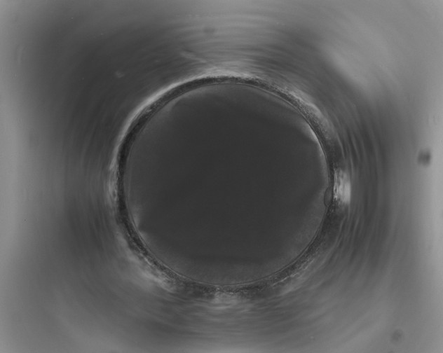 X0000097620388200803211751