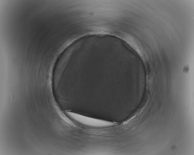 X0000097620389200803211750