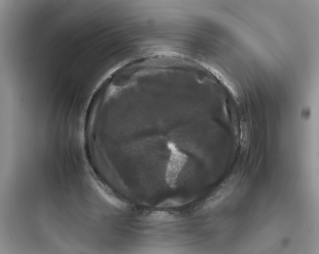 X0000097620390200803211750
