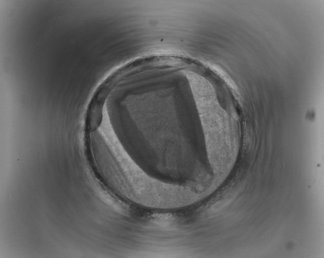 X0000097620391200803211750