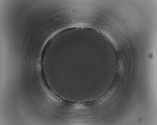 X0000097620392200803211750